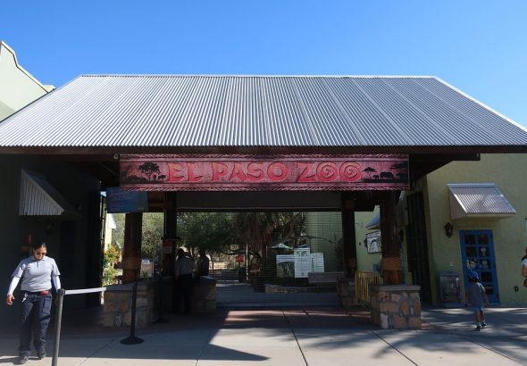 elpasozoo