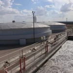 Bustamante-plant-e1632602269142