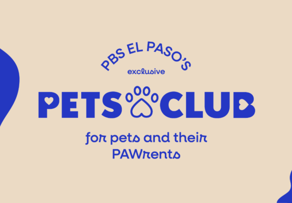Pets_Club