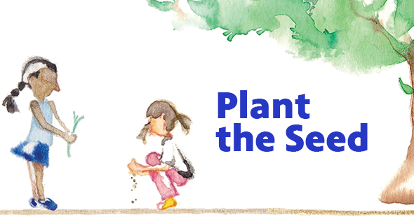 plant the seed