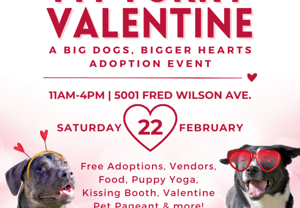 Big Dogs Bigger Hearts _1080 x 1350 px_ _2_