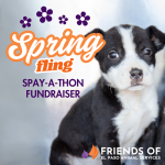 springfling