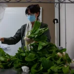 CB_FoodInsecurity-6663-scaled-e1607973215491