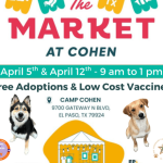 Adoption-event-1-580x460