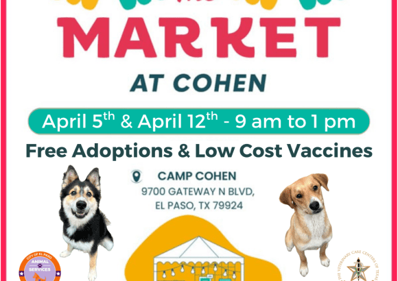 Adoption-event-1-580x460