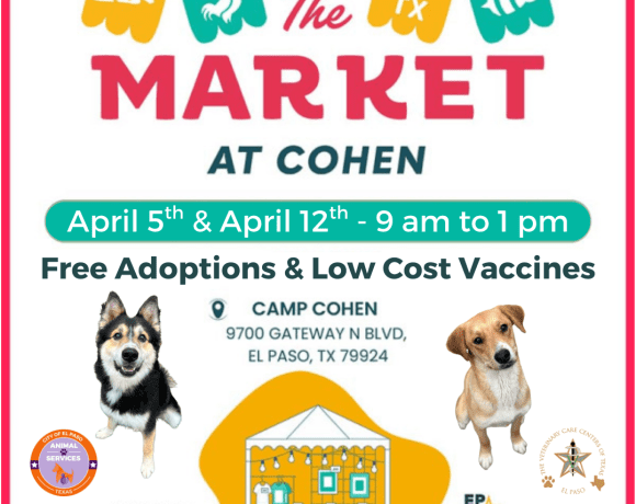 Adoption-event-1-580x460