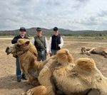 fort-camels_crop