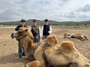 fort-camels_crop