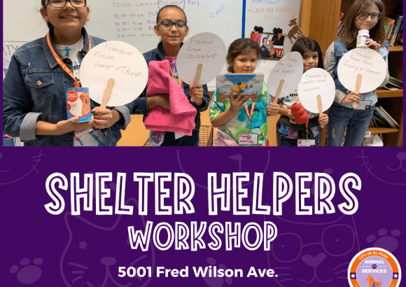 Shelter-Helpers-580x460