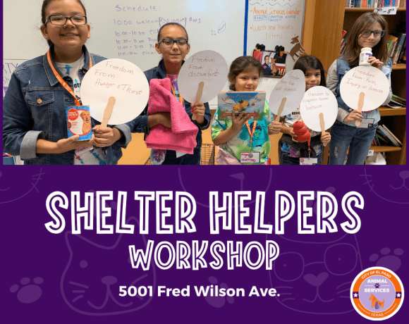 Shelter-Helpers-580x460