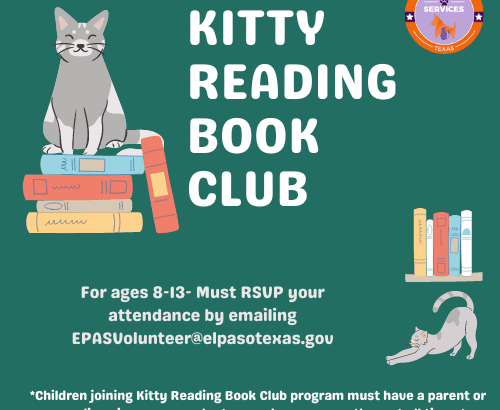 kittybookreading