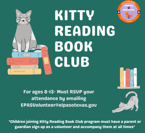 kittybookreading